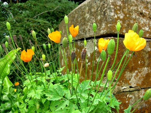 [ChantmarleManor0533.jpg]