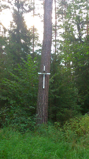 Krzyż Na Drzewie