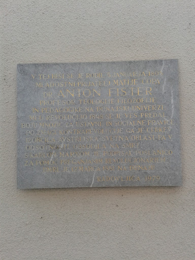 Anton Fister Birth House