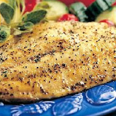 Fish Fillets