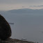 Gibraltar Ape