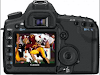 Canon Eos 5D Mark Ii Kit Con 24105Mm Is Lens