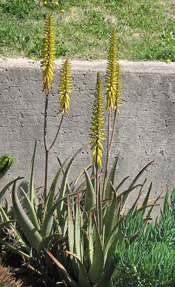 Spotting Image 1