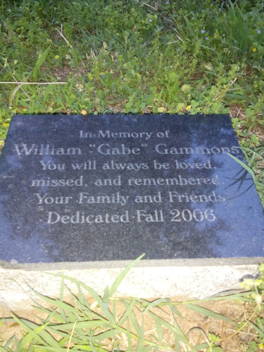 Memorial Of Gabe