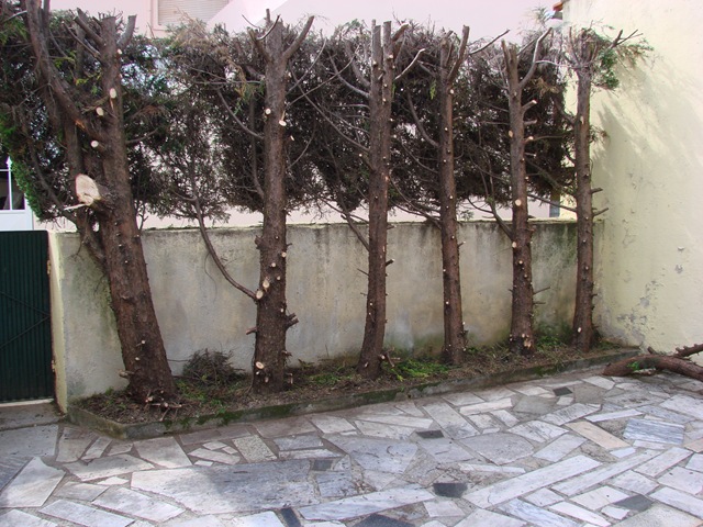 [2008-05-09 Hekk 003[2].jpg]
