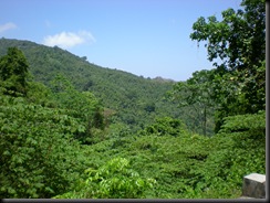 green of lombok