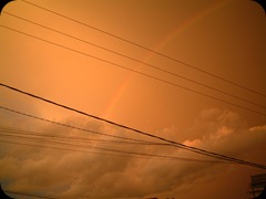 Pelangi 03