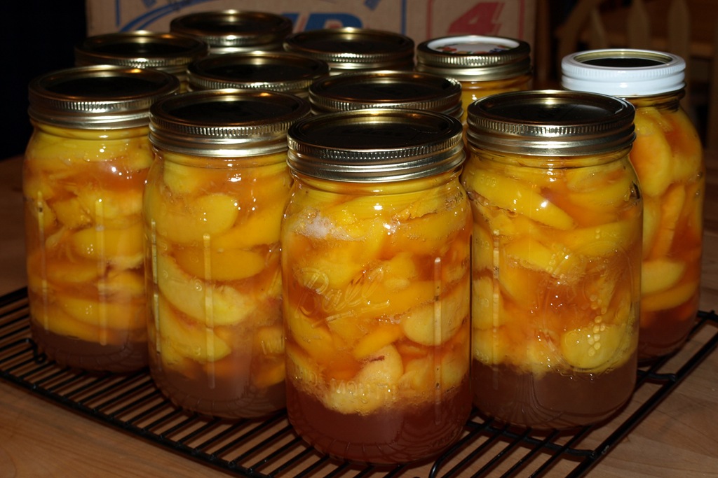 [P9234507[6].jpg]
