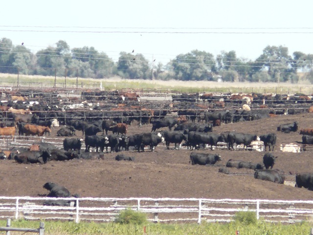 [20080917_50[3].jpg]