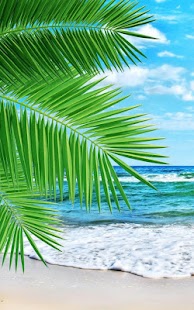 How to get Beach Live Wallpaper 2.0 unlimited apk for pc
