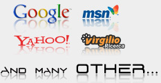 Promo ottimizza siti per google, yahoo, msn, virgilio e molti altri motori di ricerca