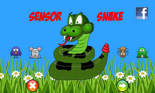 SensorSnake