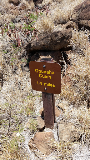 Opunaha Gulch