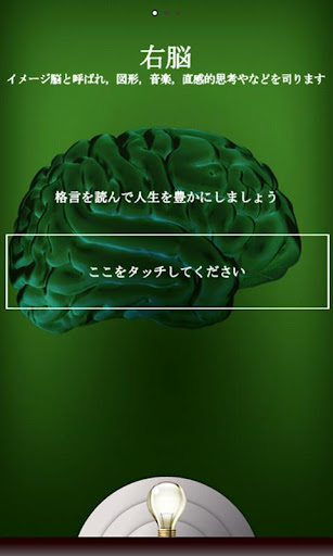 3D Brain