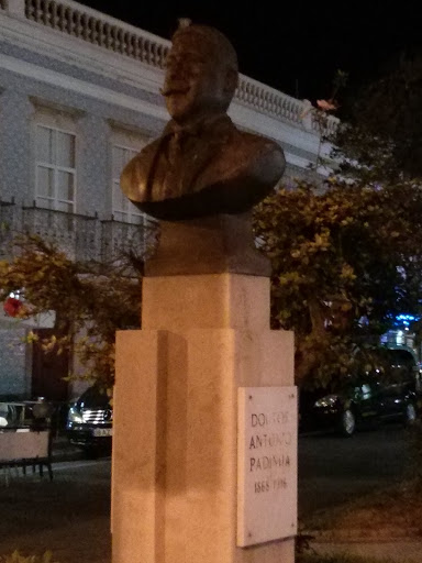 Busto Doutor António Padinha
