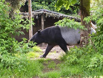 P5050087