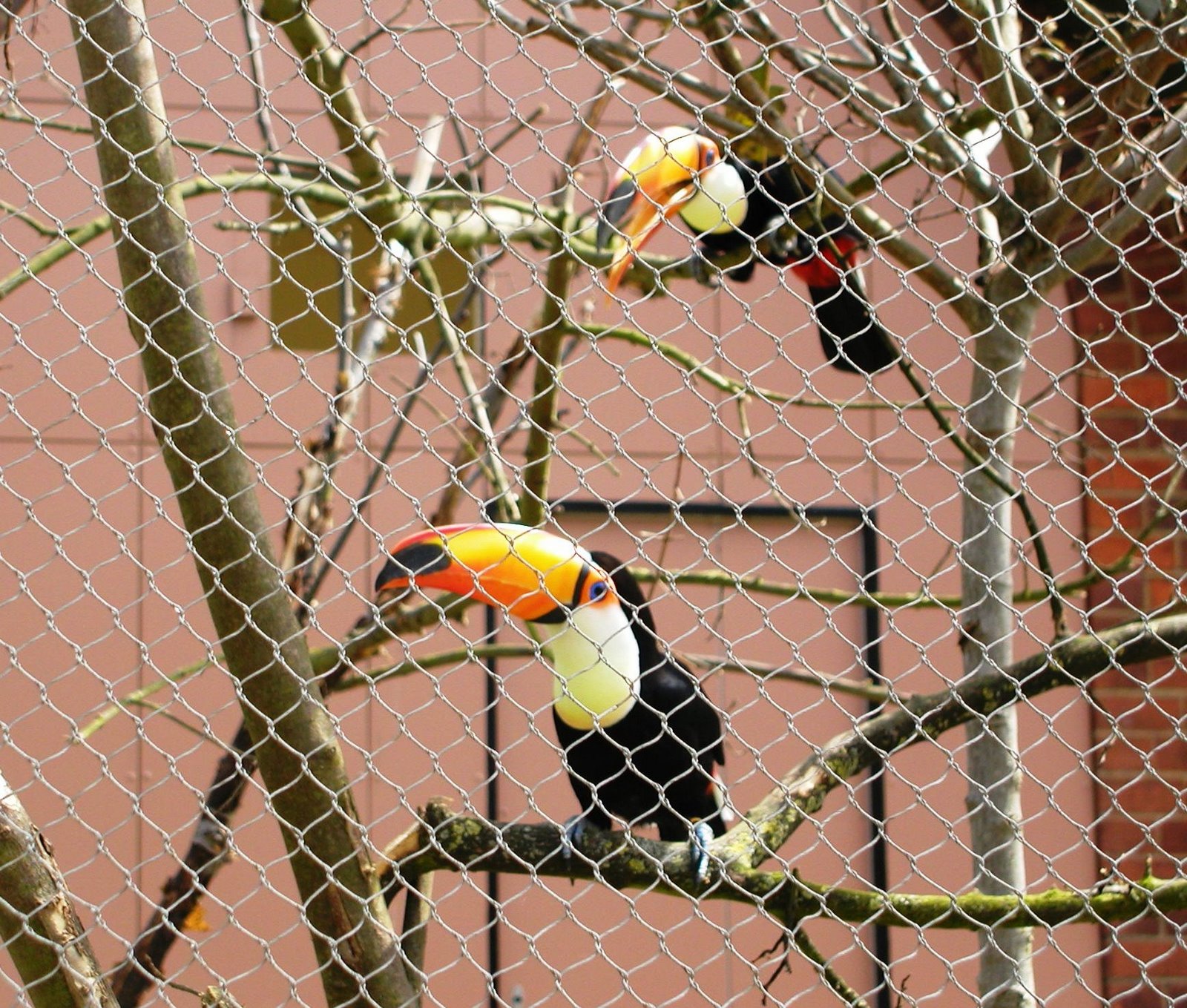 [P50500055.jpg]