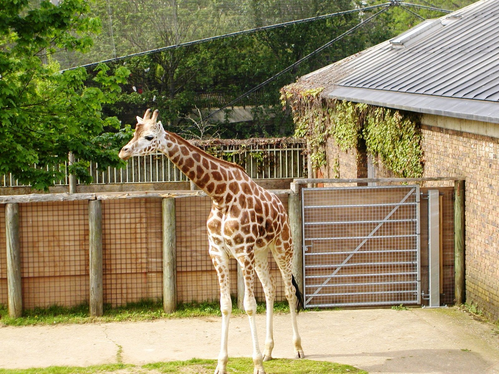 [P50500895.jpg]