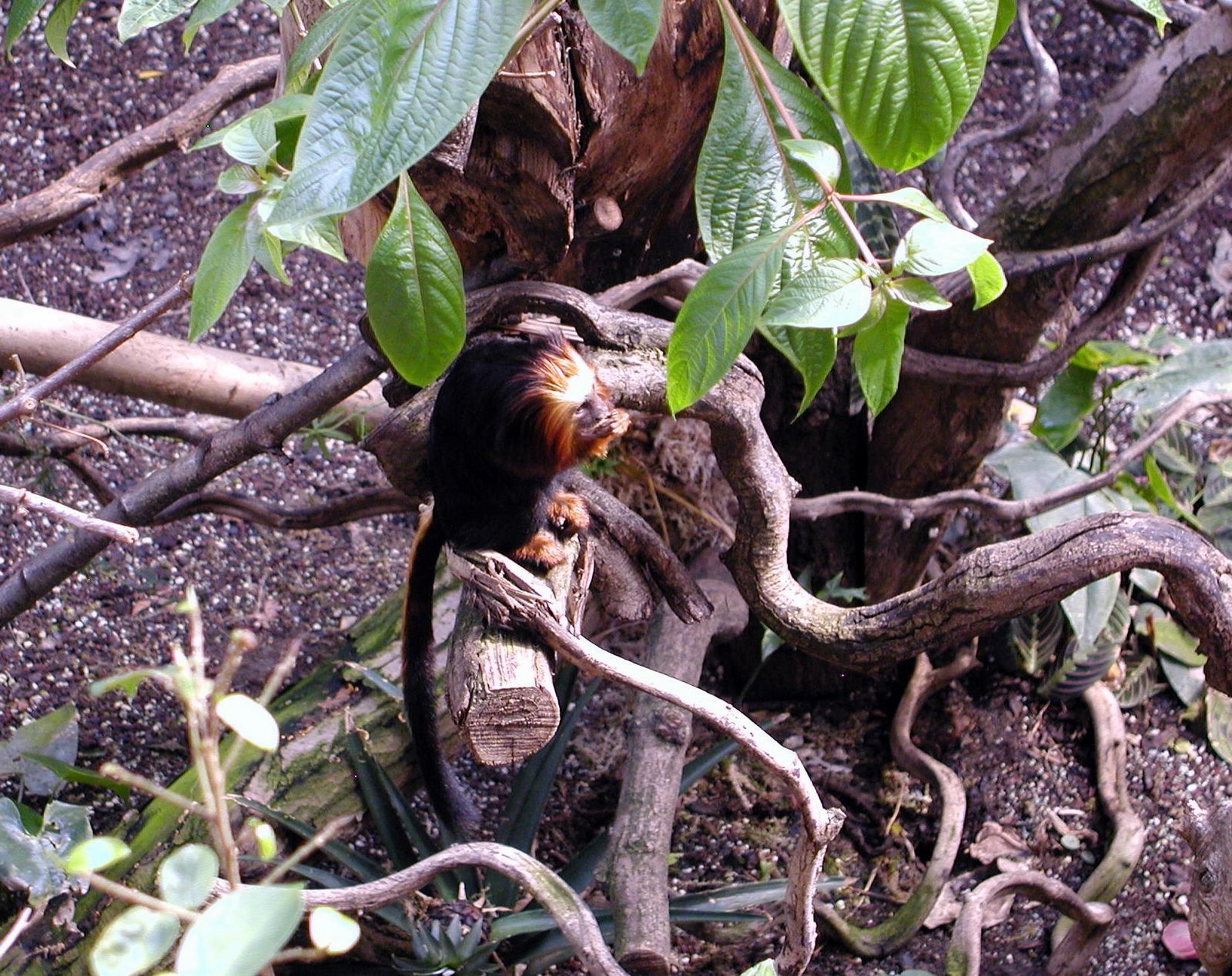 [P50500735.jpg]