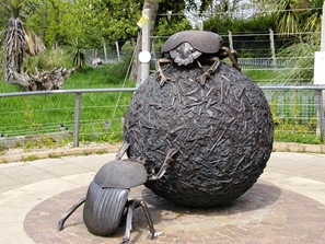 P5050038