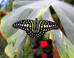 P5170007
