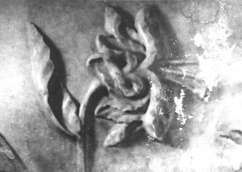 [OMInTheFlowers4.jpg]