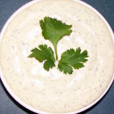 Cilantro Mayonnaise - South Beach Diet