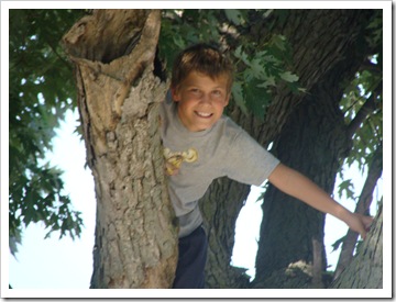 Lucas up at tree