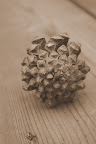 IMGP3535.JPG