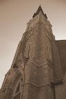 IMGP0560.JPG