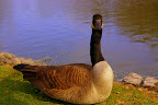 IMGP0387.JPG