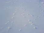 Christmas 2006 (68).JPG