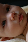 IMGP3378.JPG