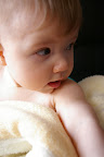 IMGP3391.JPG