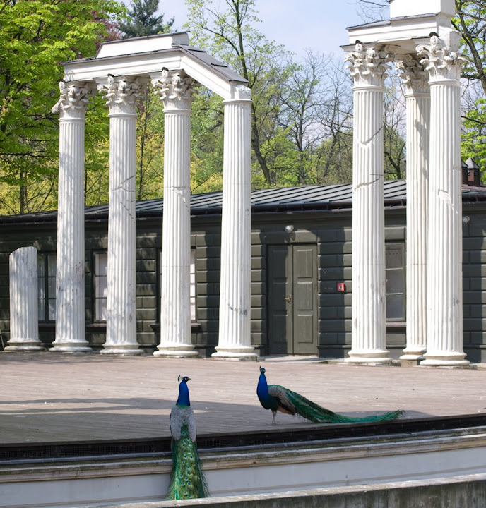 DSC_0587_org.jpg