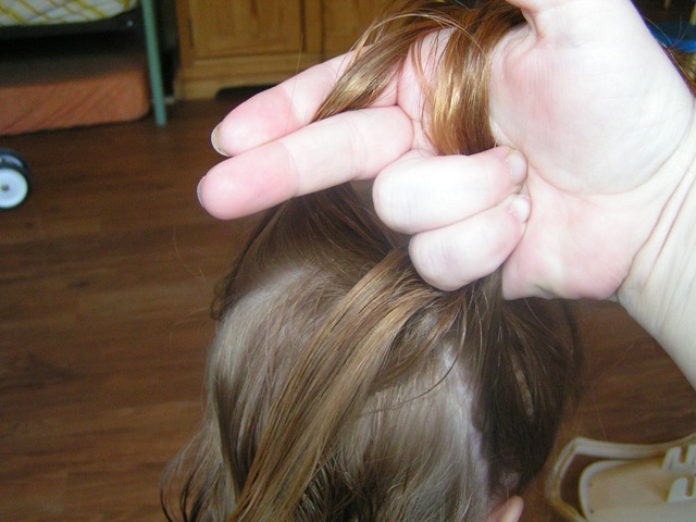 [example brading[3].jpg]