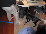 Trivia_053.jpg