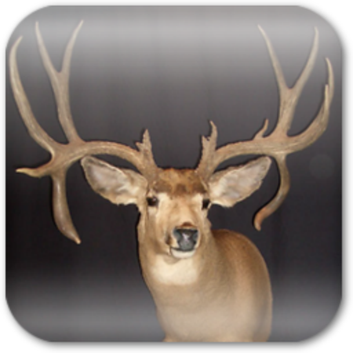 Deer Hunting Live Wallpaper ★ LOGO-APP點子