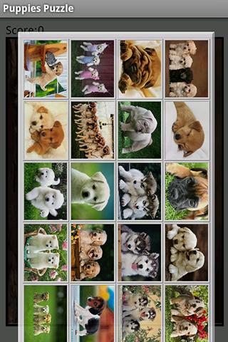 Puppies Puzzle