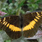 orange-banded plane