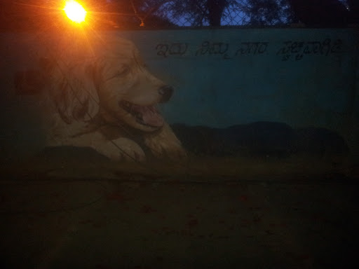 Dog Pet Mural