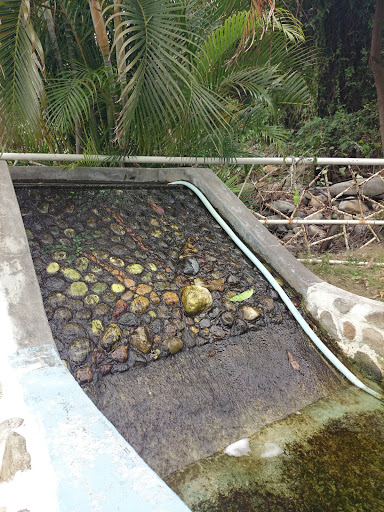 Palm Stone Water Fall