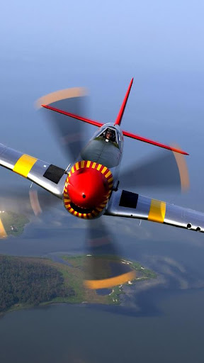 Warbirds: P-51 Mustang PRO