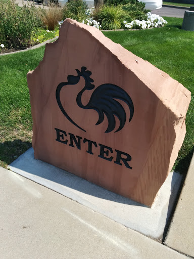 Chicken Enter Stone