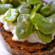 Fava and Fresh Ricotta Crostini