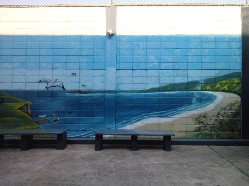 Mural Bahía De Cata