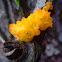 Witches Butter