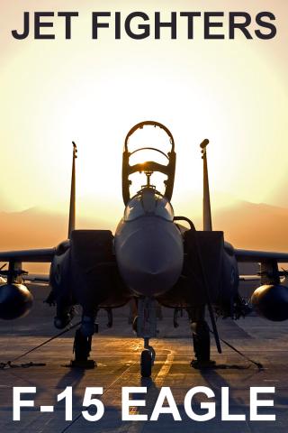 Jet Fighters: F-15 Eagle FREE