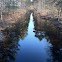 Sandviken