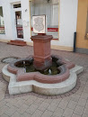 Brunnen Fussgängerzone